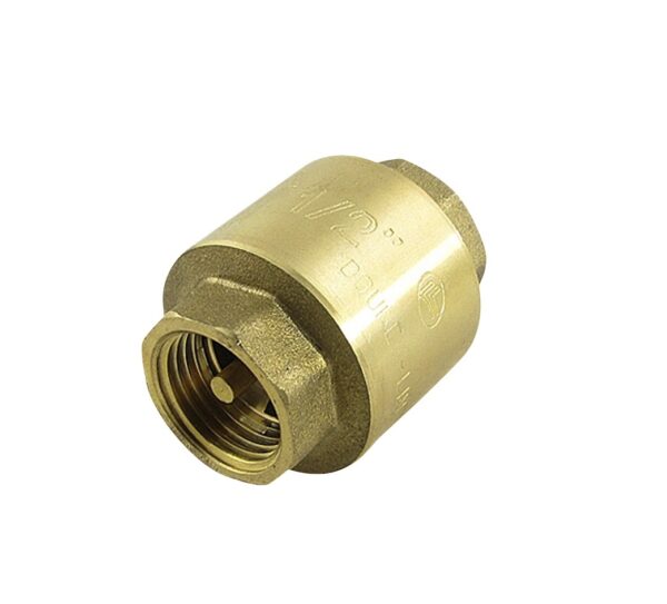 Обратный клапан 1" — изображение 1